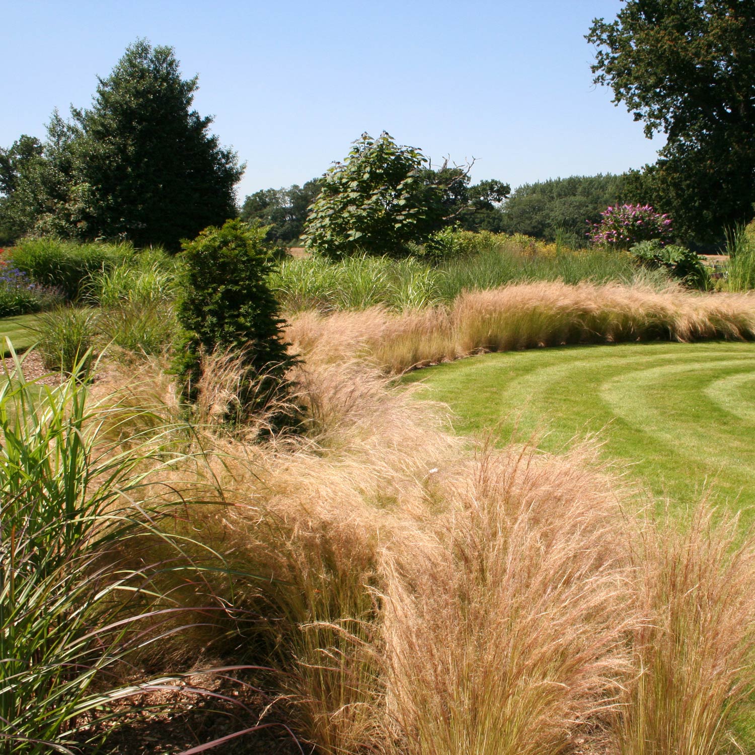 Essendon Garden of spiral grass borders designed by Peter Eustance  Planted border