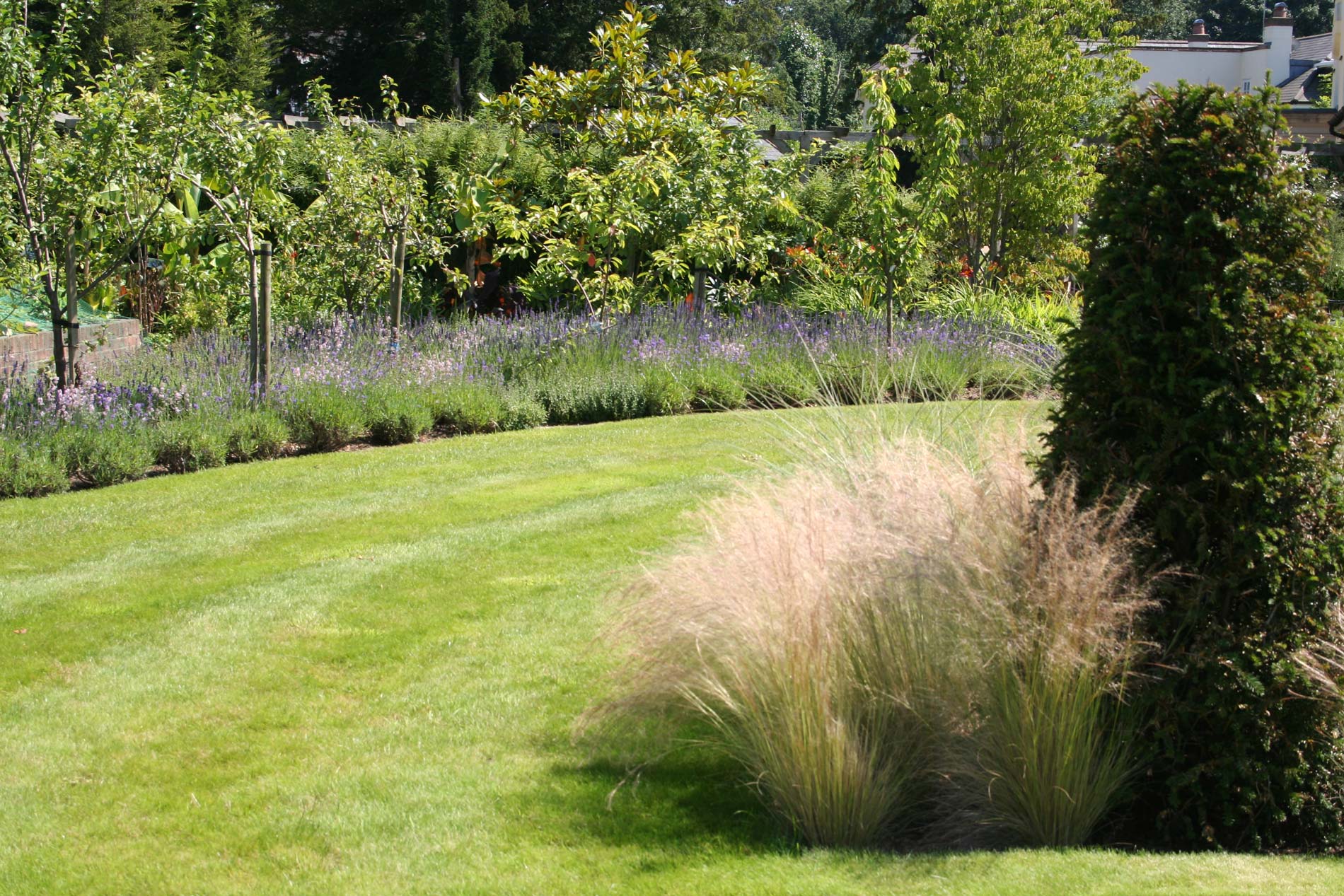Essendon/Garden-of-spiral-grass-borders-designed-by-Peter-Eustance