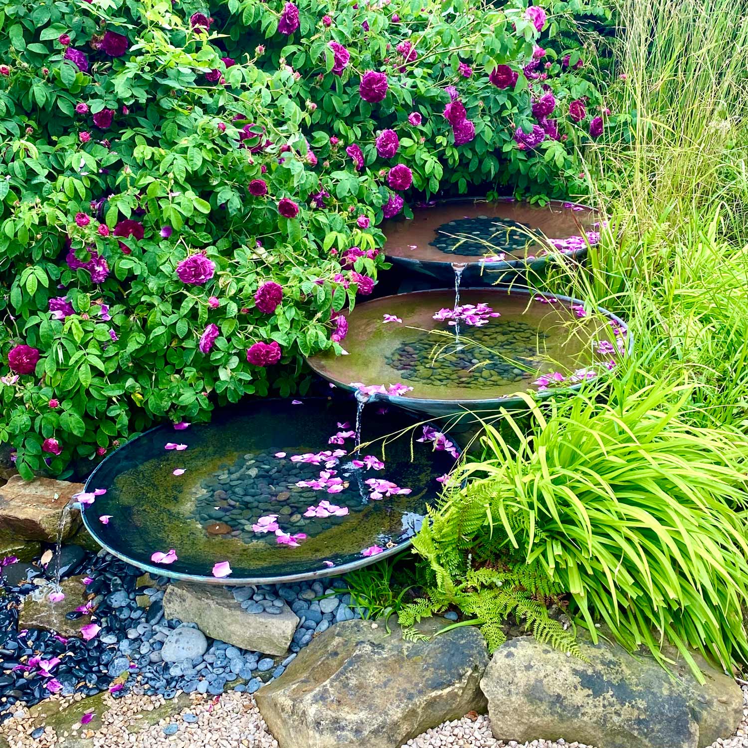 Claro water feature - Peter Eustance Symphonic Gardens