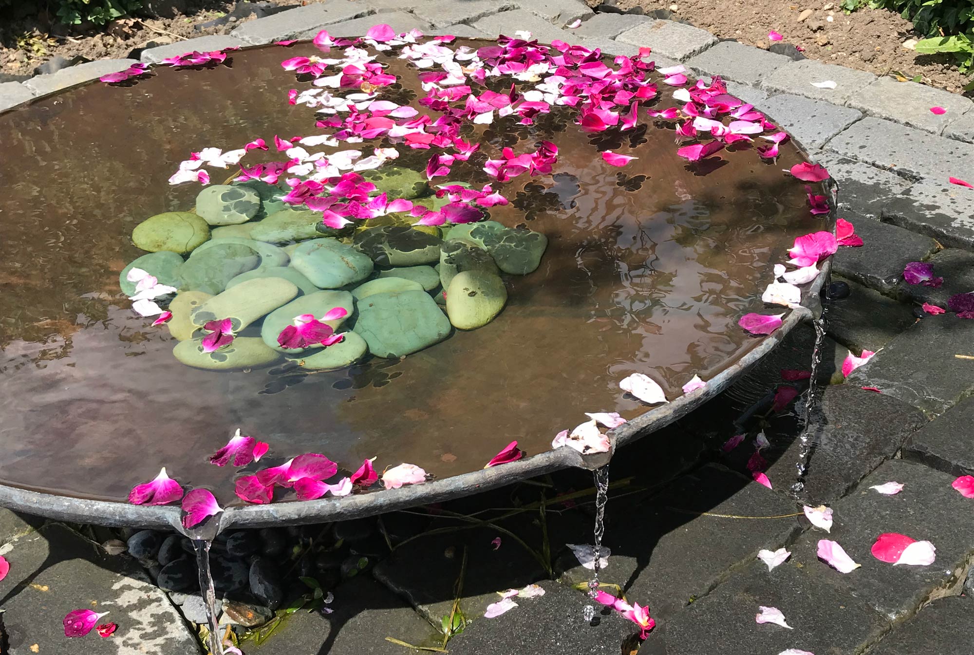 Como water feature with rose petals - Peter Esutance Symphonic Gardens